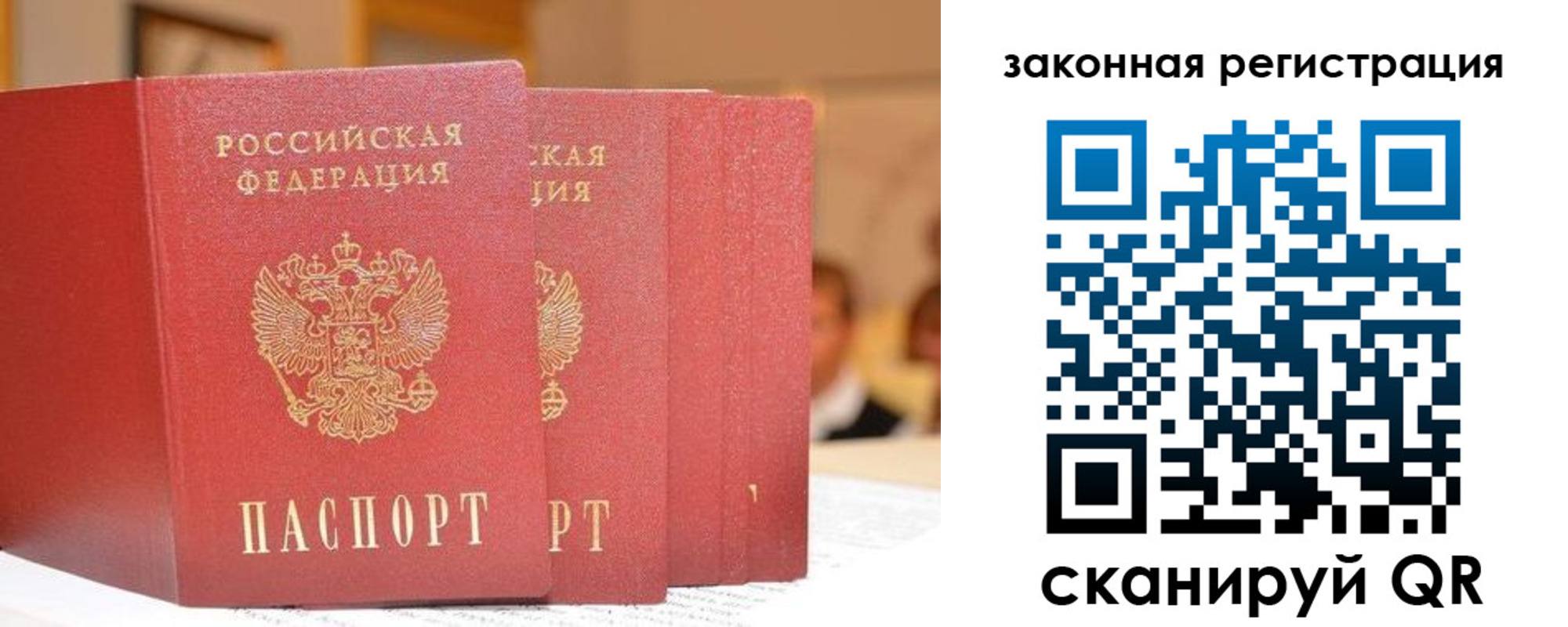 прописка поиск в Калининграде